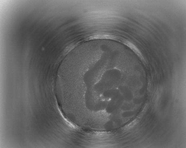 X0000068770849200605051630