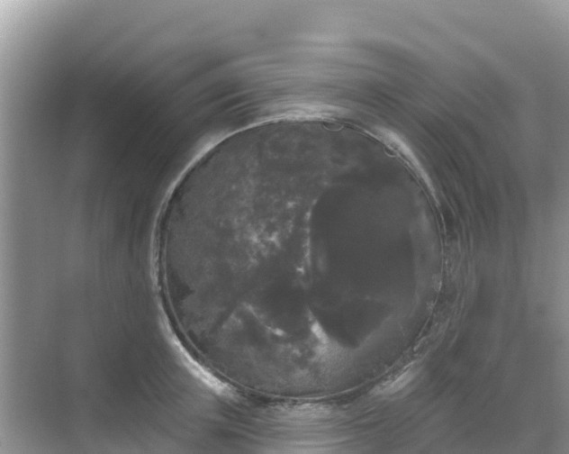 X0000068770851200605051630