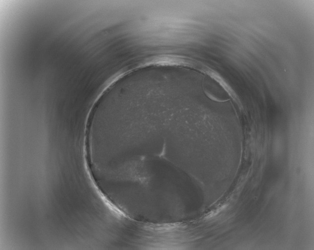 X0000068770853200605051630