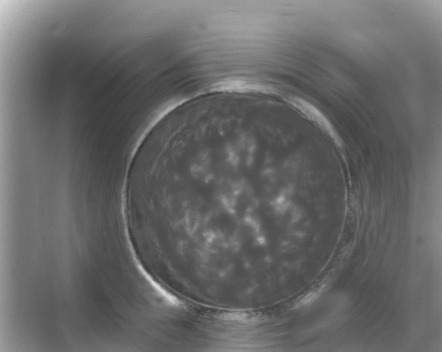 X0000068770855200605051630