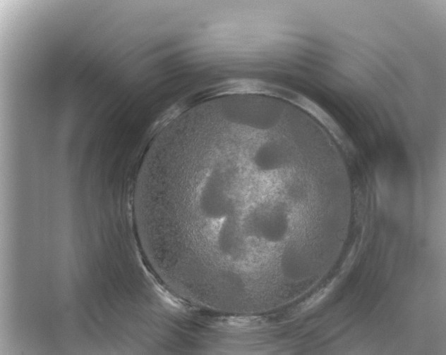 X0000068770857200605051630