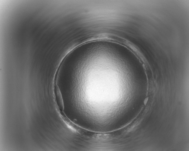 X0000068770858200605051630