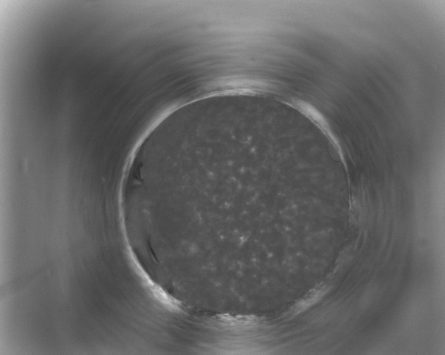 X0000068770859200605051630