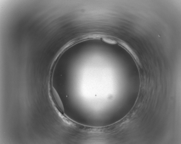 X0000068770861200605051630