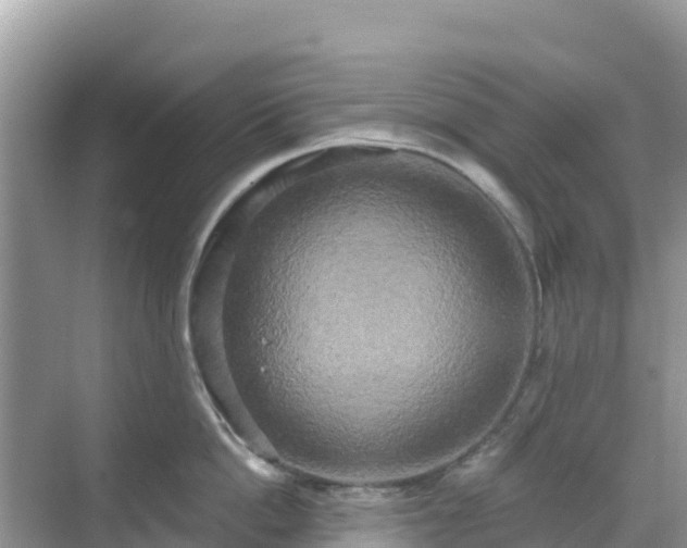 X0000068770862200605051630