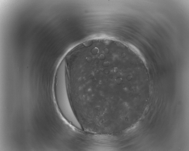 X0000068770863200605051630