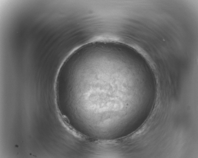 X0000068770864200605051630