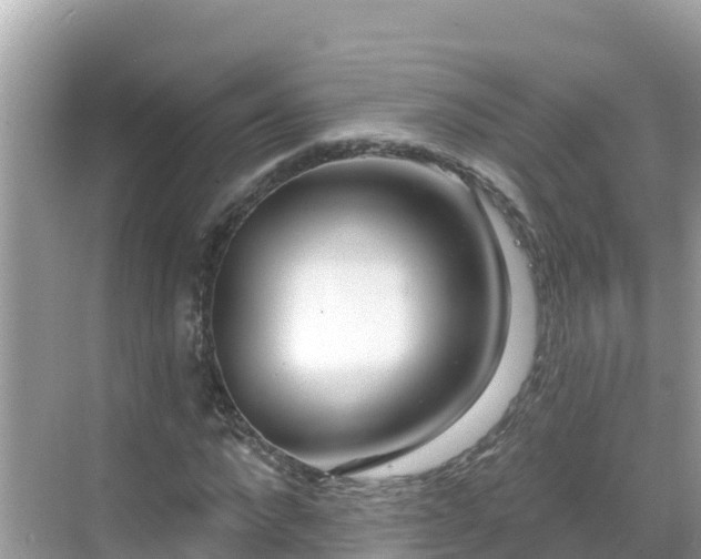 X0000068770872200605051629