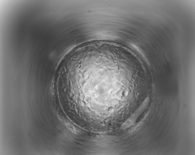 X0000068770875200605051629