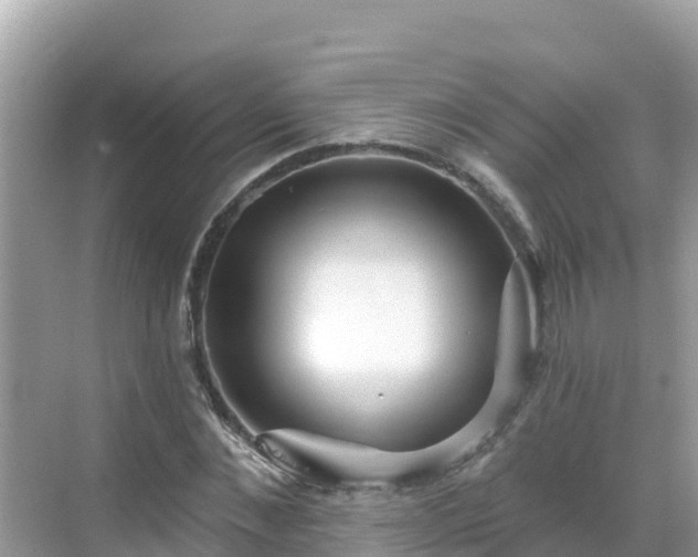 X0000068770876200605051629