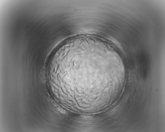 X0000068770878200605051629