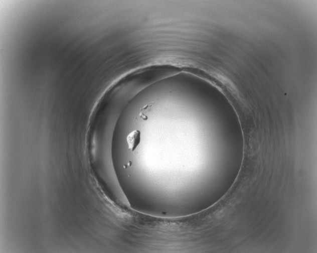 X0000068770880200605051629