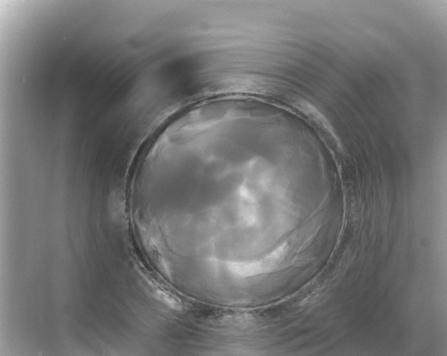 X0000068770882200605051629