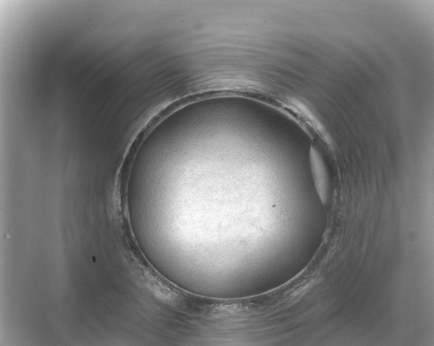 X0000068770883200605051629