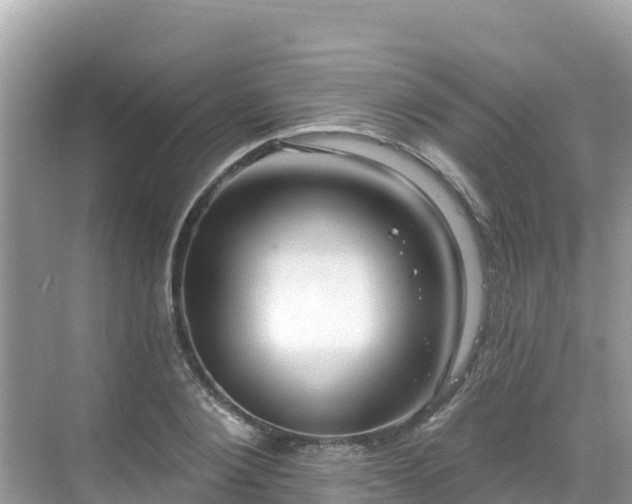 X0000068770884200605051629