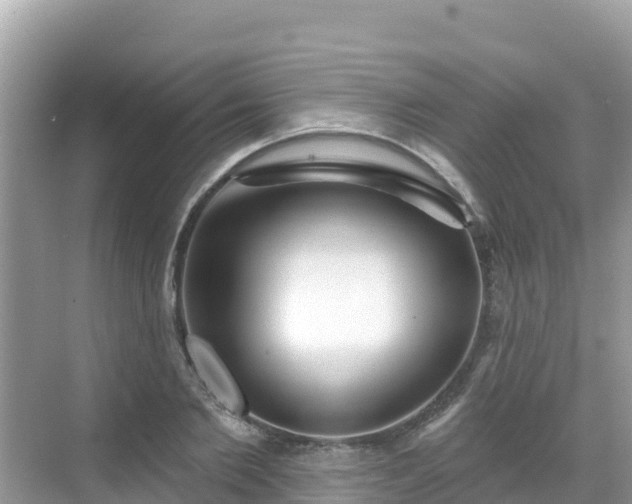 X0000068770885200605051629