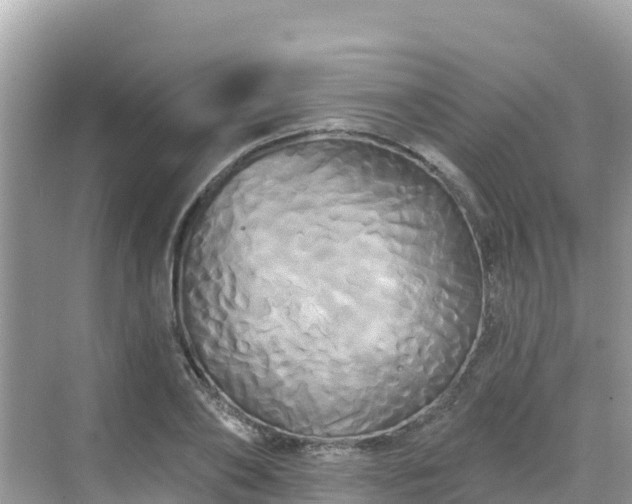 X0000068770886200605051629