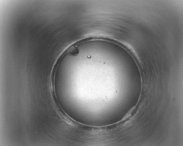 X0000068770887200605051629