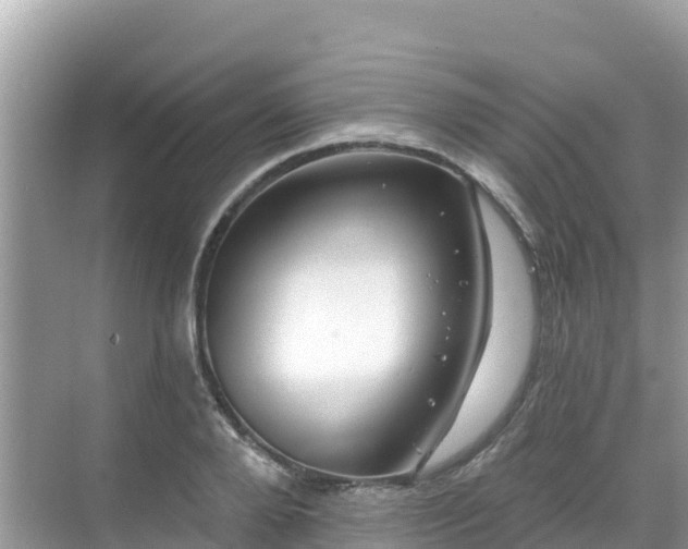 X0000068770888200605051629