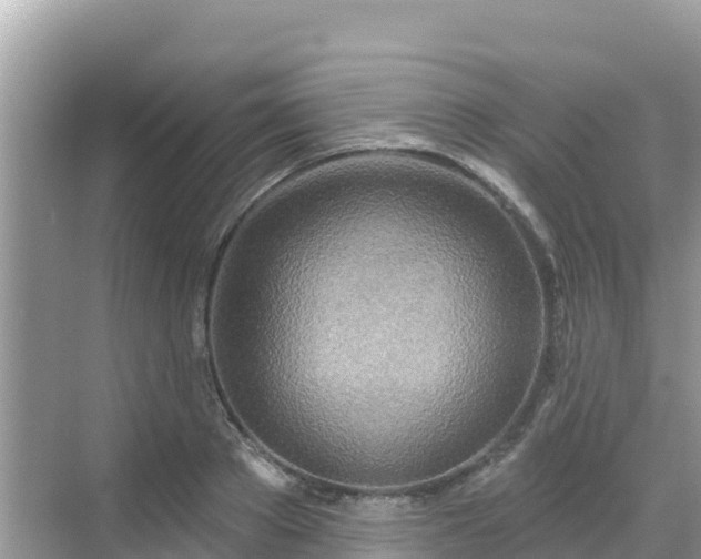 X0000068770889200605051629