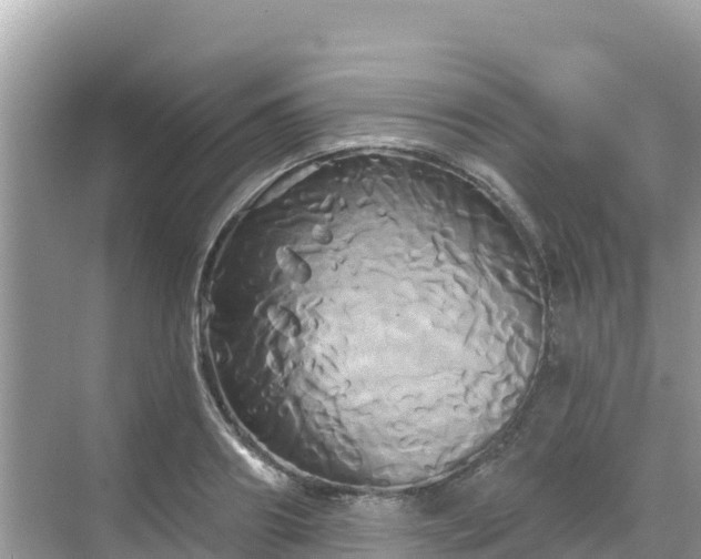 X0000068770890200605051629