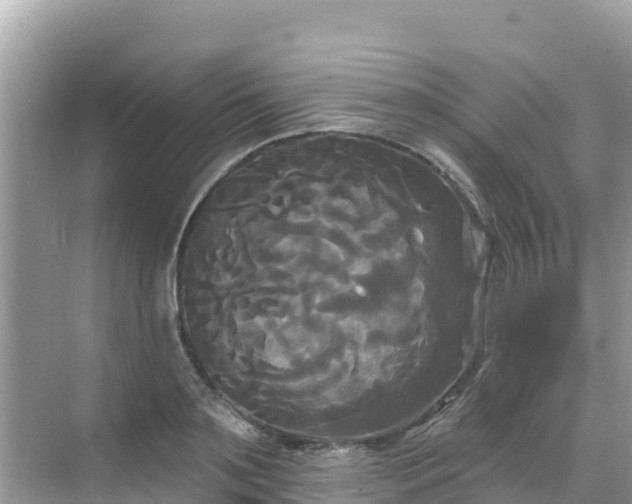 X0000068770891200605051629