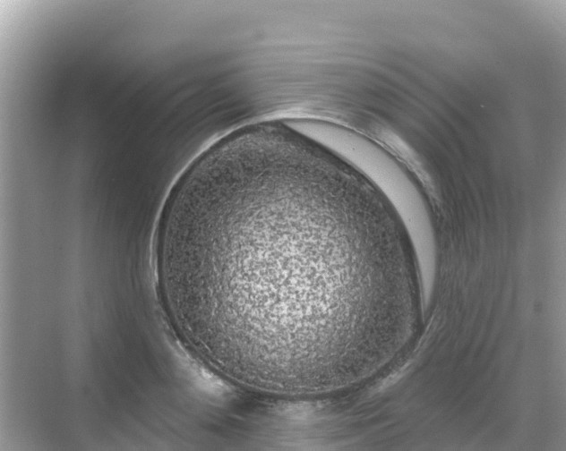 X0000068770892200605051629