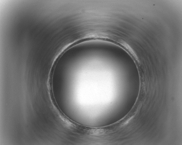 X0000068770893200605051629