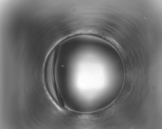 X0000068770894200605051629