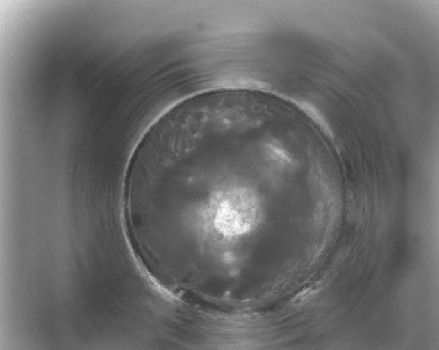 X0000068770895200605051628