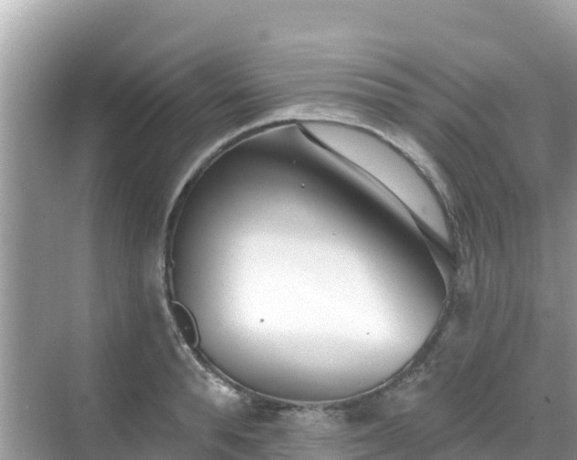 X0000068770896200605051628