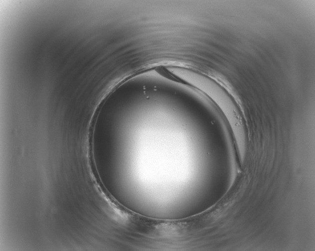 X0000068770898200605051628