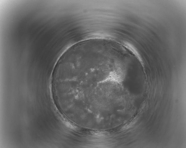 X0000068770899200605051628