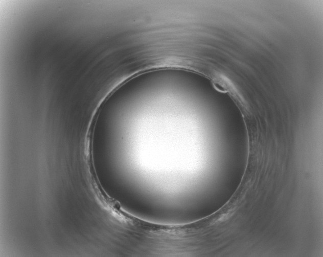 X0000068770900200605051628