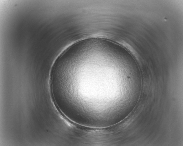 X0000068770902200605051628