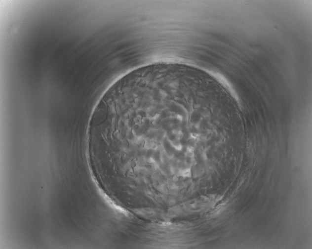 X0000068770903200605051628