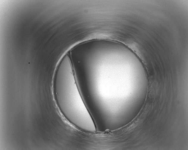 X0000068770904200605051628