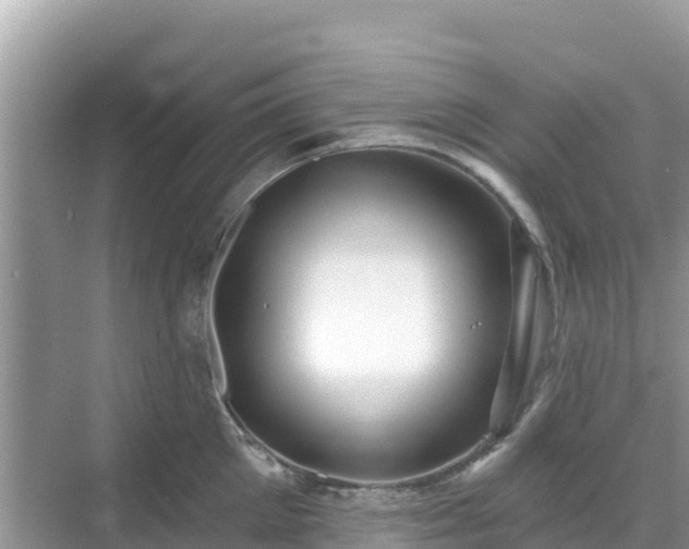 X0000068770905200605051628