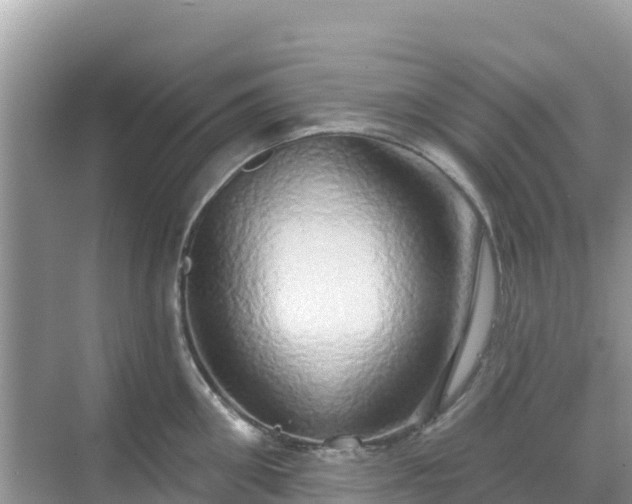 X0000068770906200605051628