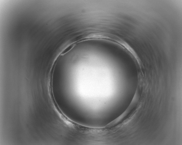 X0000068770909200605051628