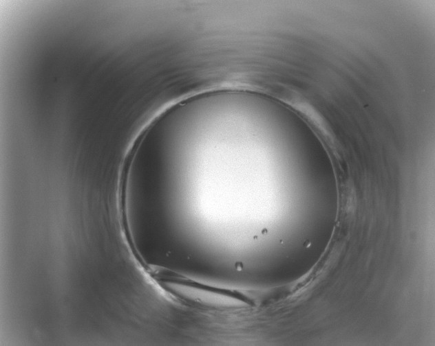 X0000068770910200605051628