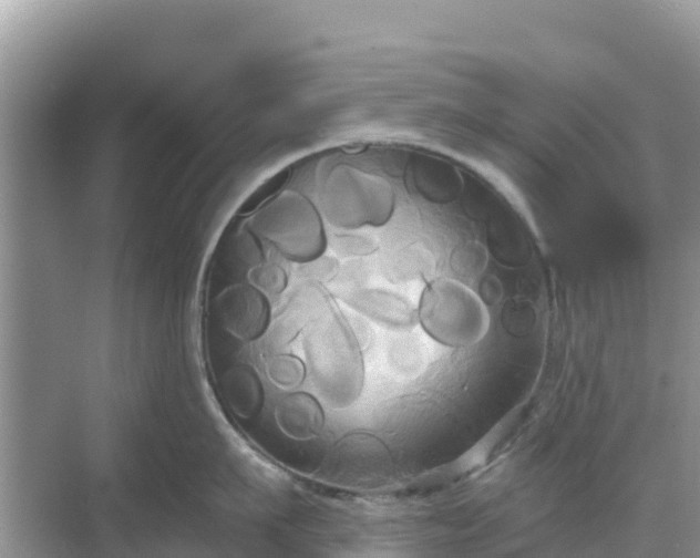 X0000068770911200605051628