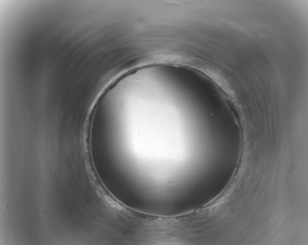 X0000068770912200605051628