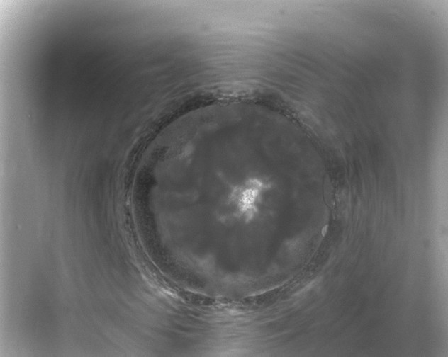 X0000068770913200605051627