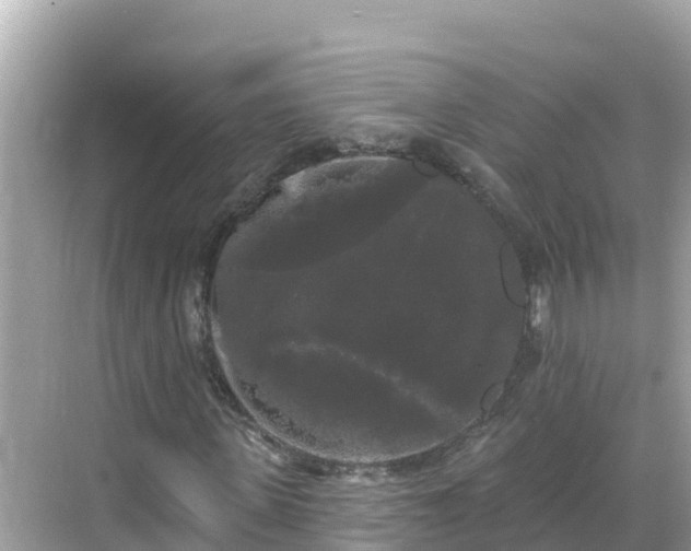 X0000068770915200605051627