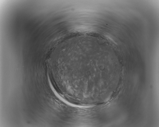 X0000068770917200605051627