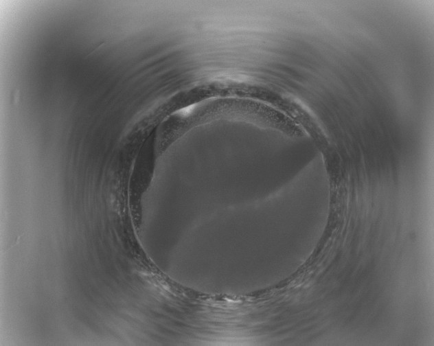 X0000068770919200605051628