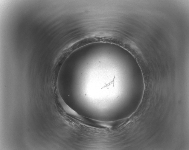 X0000068770920200605051628