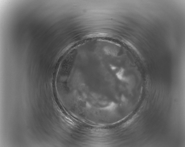 X0000068770921200605051628