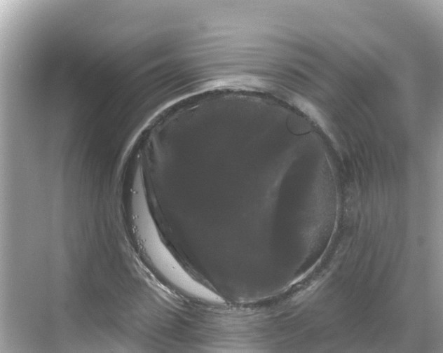 X0000068770923200605051628